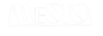 Me.S.I.S. srl